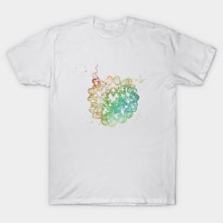 DNA Crystal Structure T-Shirt